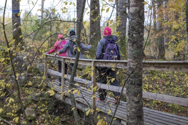 Barn går på en bro i en höstfärgad skog.