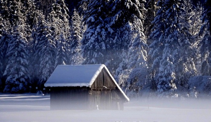 En gammal lada på en åker nära skogen en dimmig och kall vinterdag.